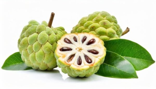 Custard Apple