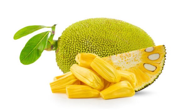 Jackfruit