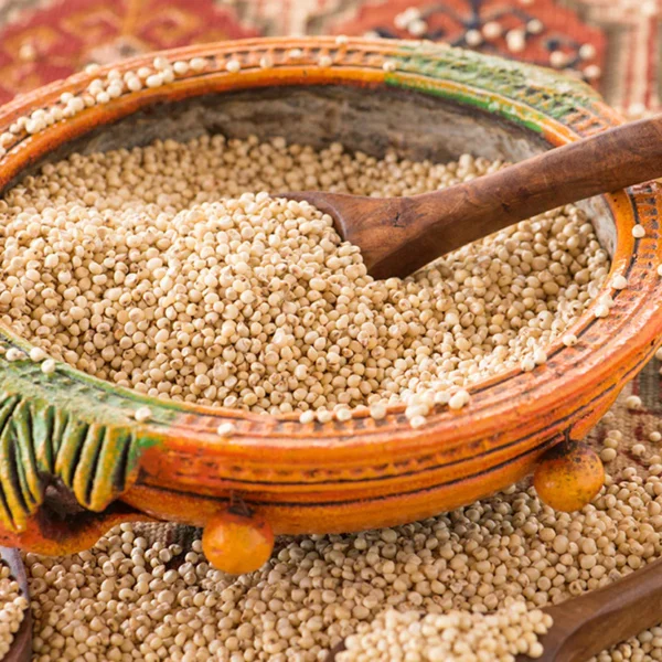 Jowar (Sorghum)