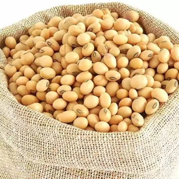 Soy Beans