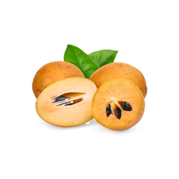 Sapodilla