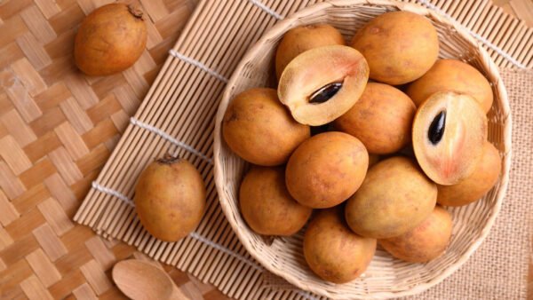 Sapodilla - Image 2