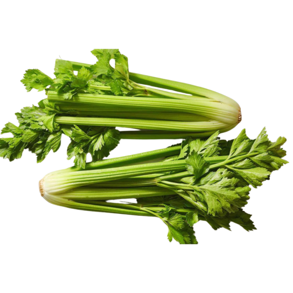 Celery